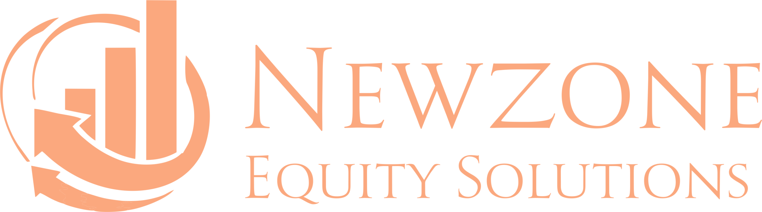 Newzone NEWZONE EQUITY SOLUTIONS